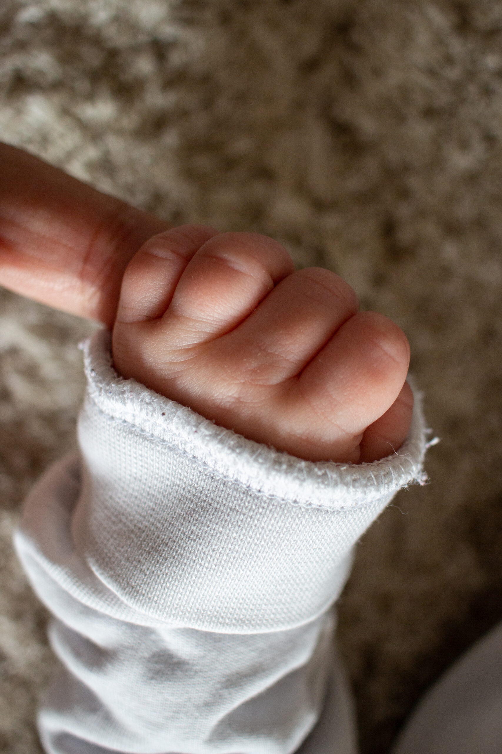 Newborn Fotografin_Shooting in der Lüneburger Heide